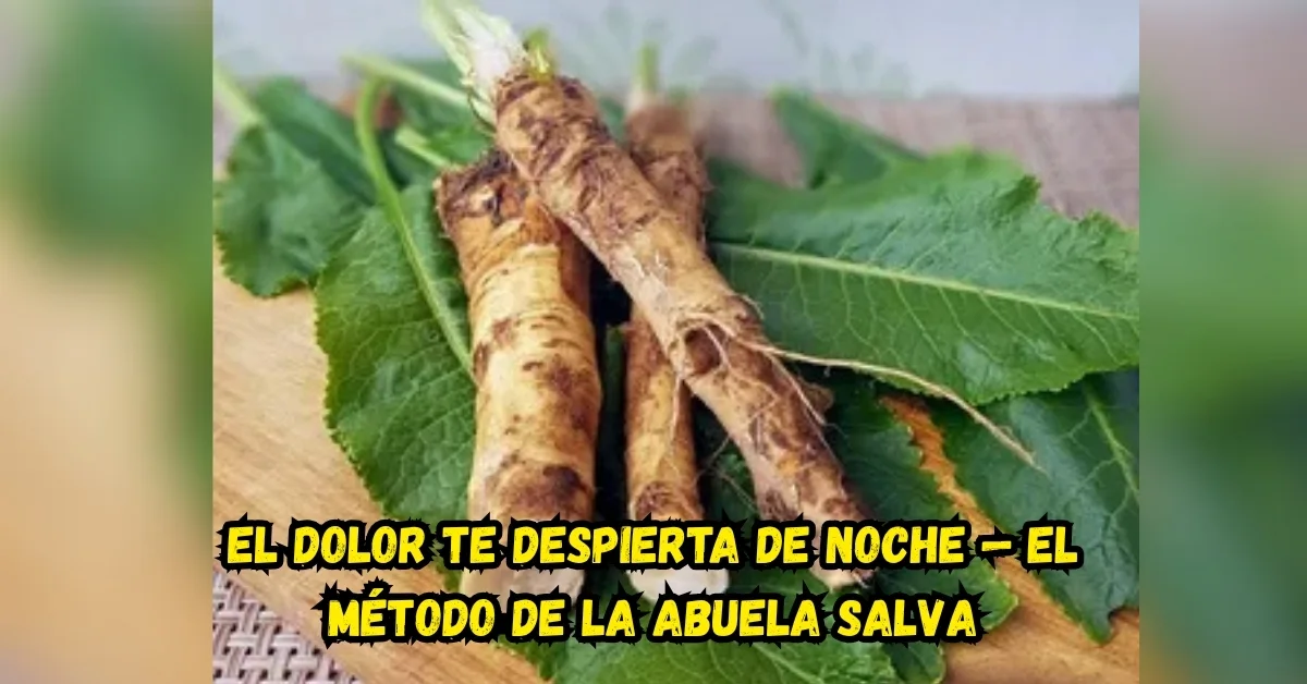 Adultos mayores disfrutando de movimiento consciente